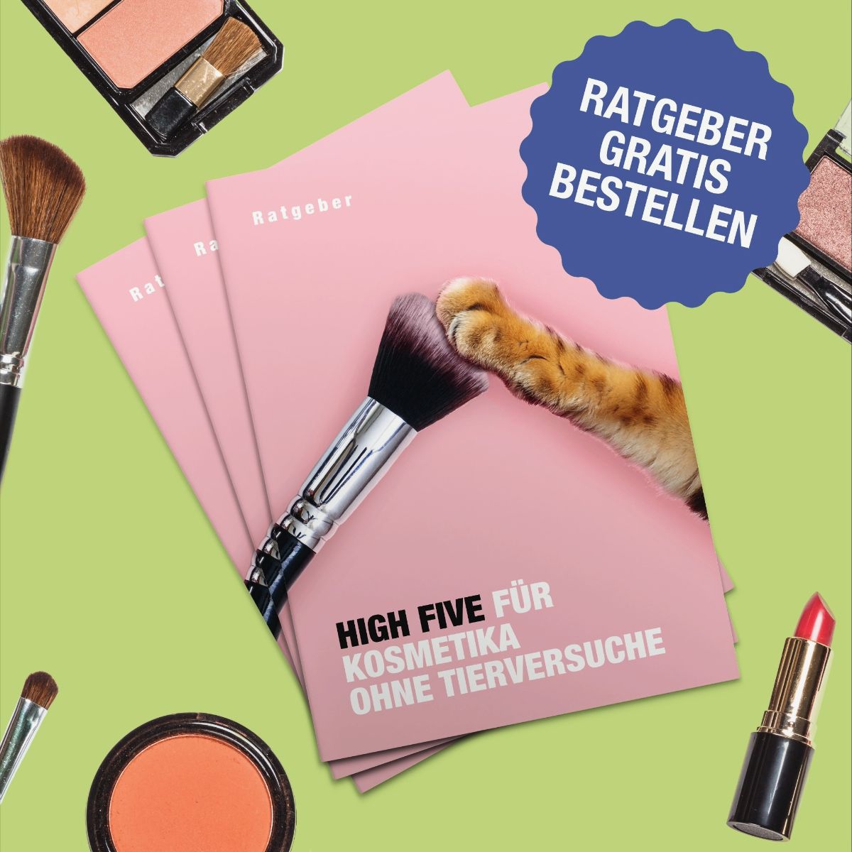 eef8a6f3-a949-4a6f-fb03-01da35b7df0f