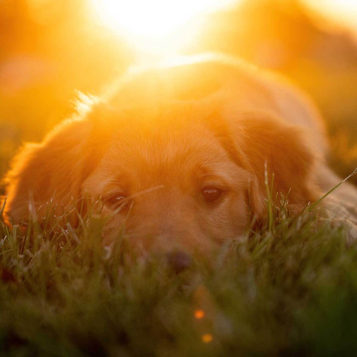 tim-umphreys-zKXS2rUxw-E-unsplashweb (2) (1)